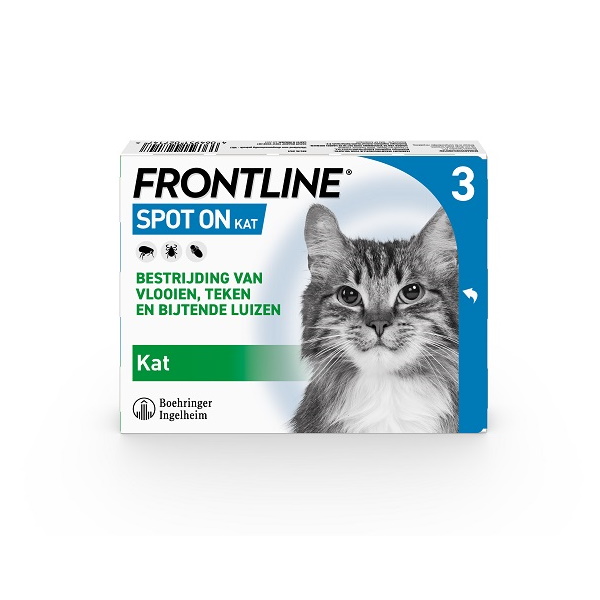 Frontline