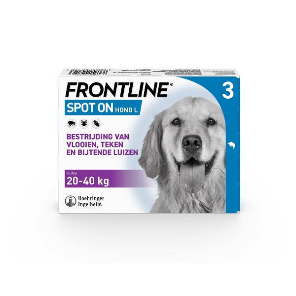 Frontline