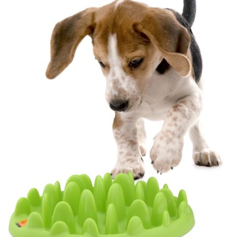 Northmate Green voerbak