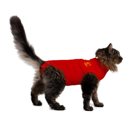 Medical Pet Shirt kat