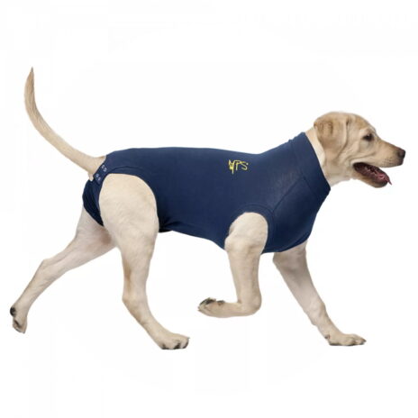 Medical Pet Shirt hond