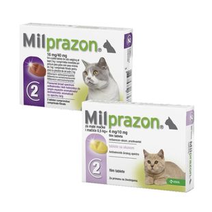 Milprazon kat