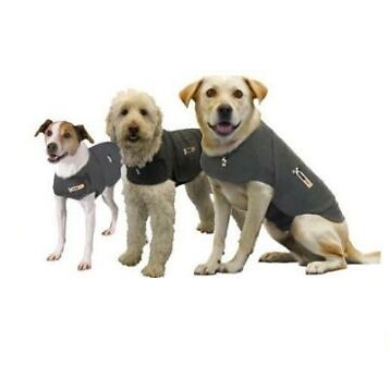 Thundershirt hond