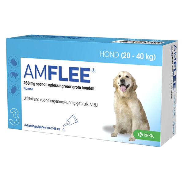 Amflee