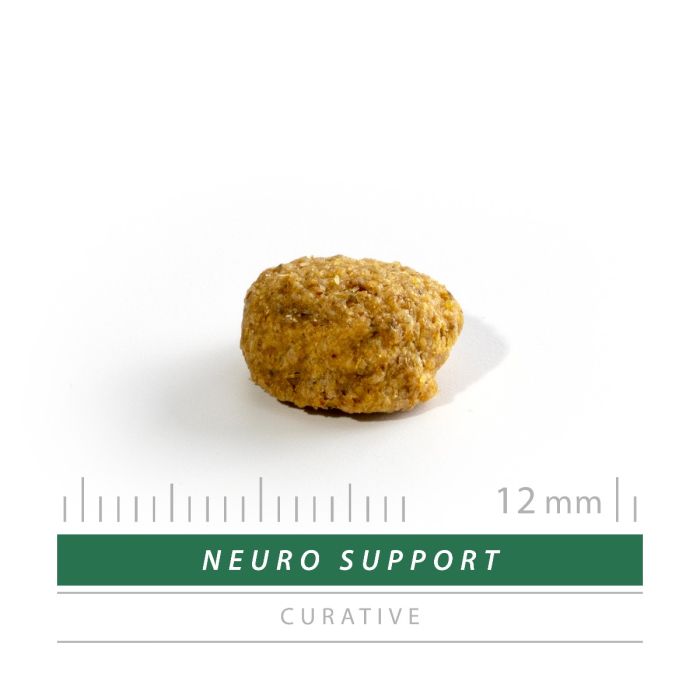 Sanimed Neuro Support