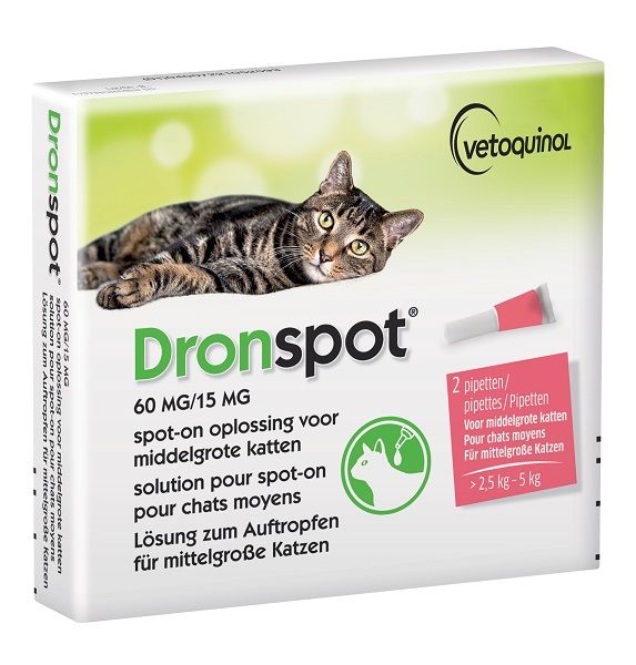 Dronspot