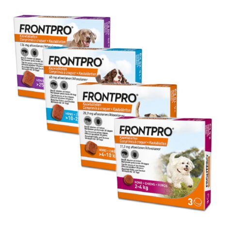 Frontpro hond