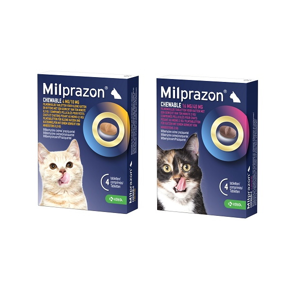 Milprazon Chewable