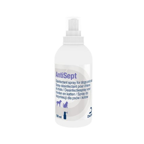 Antisept desinfectiespray 100 ml