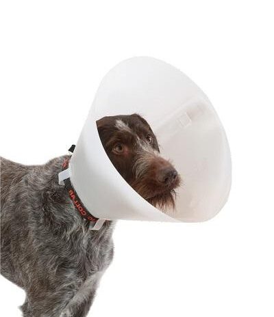 Buster kraag classic wit