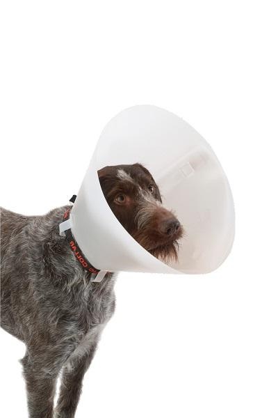 Buster kraag classic wit-0